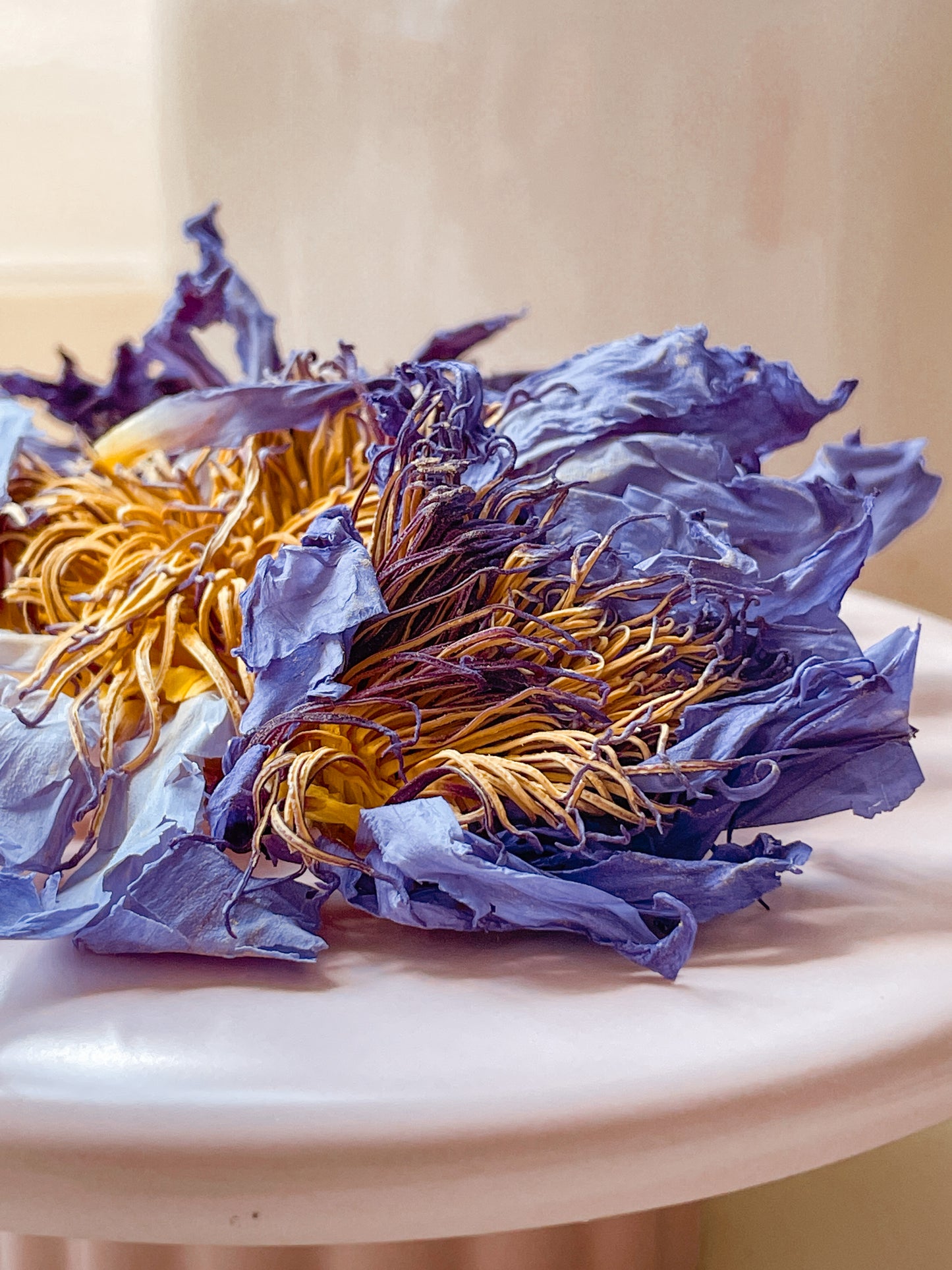 Ritual / Blue Lotus